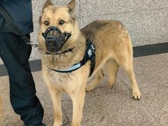 -蒲黄榆(地铁站)