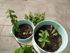 -香颂咖啡(华德中心广场店)