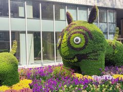 -湖北中医药大学(昙华林校区)