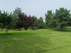 -绿堤公园