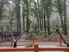 -北京野生动物园