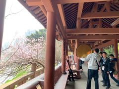 -望江楼公园