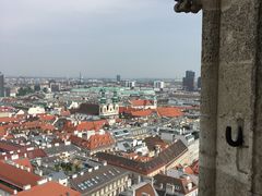 -斯蒂芬主教座堂(Stephansdom)