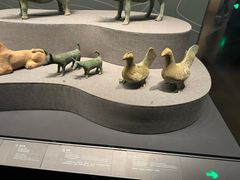 -广西壮族自治区博物馆