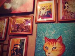 -猫咪博物馆(顶澳仔猫街店)