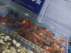 -亚马逊海鲜自助(梅溪湖步步高店)