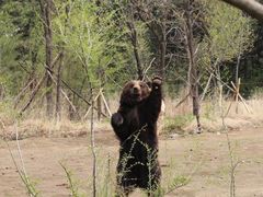 -沈阳森林动物园
