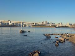 -台场海滨公园船码头