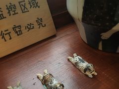 -铃木食堂(帽儿胡同店)