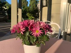 -因特拉肯贝乌里瓦奇大酒店