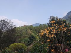 -深圳仙湖植物园