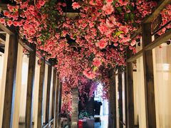 -花千醉(新街口店)