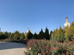 -凉州白塔寺景区
