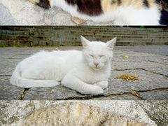 -宝通禅寺