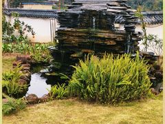 -马村鱼头