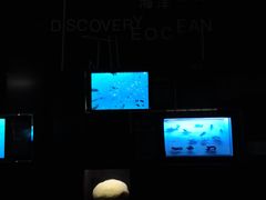 -同济大学四平路校区深海探索馆