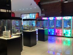 -华美国际影城(旧宫永辉店)