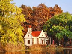 -上海共青森林公园