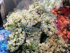 -循礼门鲜花花市(武汉循礼门店)