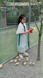 -萌宠亲子动物乐园(槐房万达店)