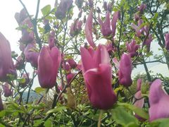 -国家会议中心大酒店