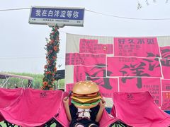 -白洋淀景区