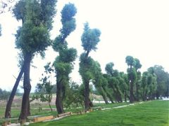 iphone_upload_pic-稻香湖景酒店