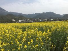 -绩溪龙川景区