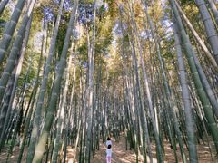 -太湖饭店玉兰厅(自助餐厅)