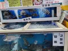 -西归浦每天偶来市场