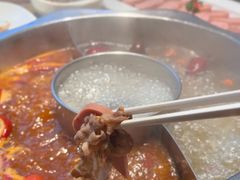 鸳鸯锅-百草滩羊清水涮羊肉(长城路店)