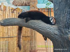 -石家庄市动物园