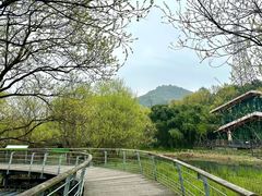 -西湖风景区-江洋畈生态公园