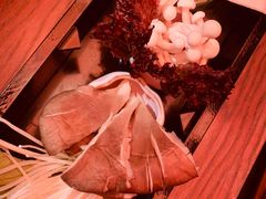 -九鼎轩脆毛肚火锅(三钢里店)