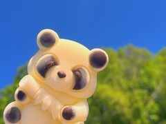 -沈阳森林动物园