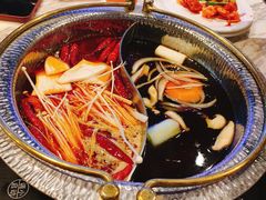 -火炉火自助餐(喜隆多店)