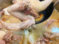 -鸽鸟轩(石岐店)