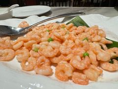 -新梅华餐厅(星悦汇店)