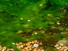 -叠溪松坪沟景区