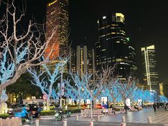 -上海波特曼丽思卡尔顿酒店