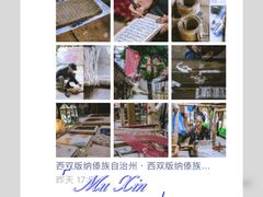 -西双版纳原始森林公园
