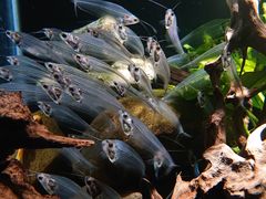 -太平洋海底世界