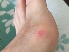 -五台山南京工业大学游泳馆(江浦馆)