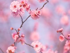 -白塘生态植物园