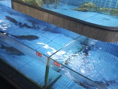 水产区-天怡·鱼工厂(临江店)