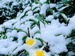 -西湖风景区十里琅珰-五云山