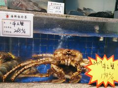 -乔家小院•本地小海鲜•非遗驴肉(万年泉路店)