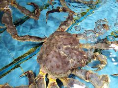 -青石桥市场北1-27号