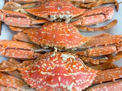 -秋姐美食店(旅游大道店)