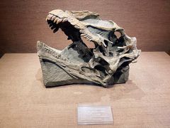 -自贡恐龙博物馆